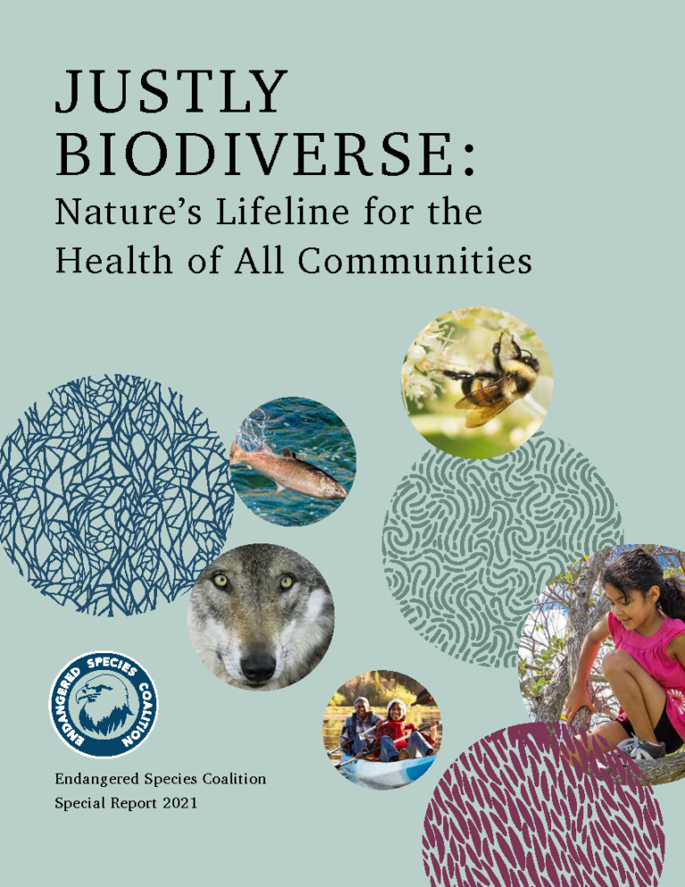 Report cover
