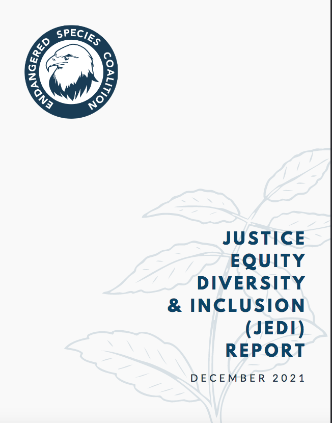 Cover of Report