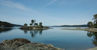 Small and lightly forested island against blue sky backdrop