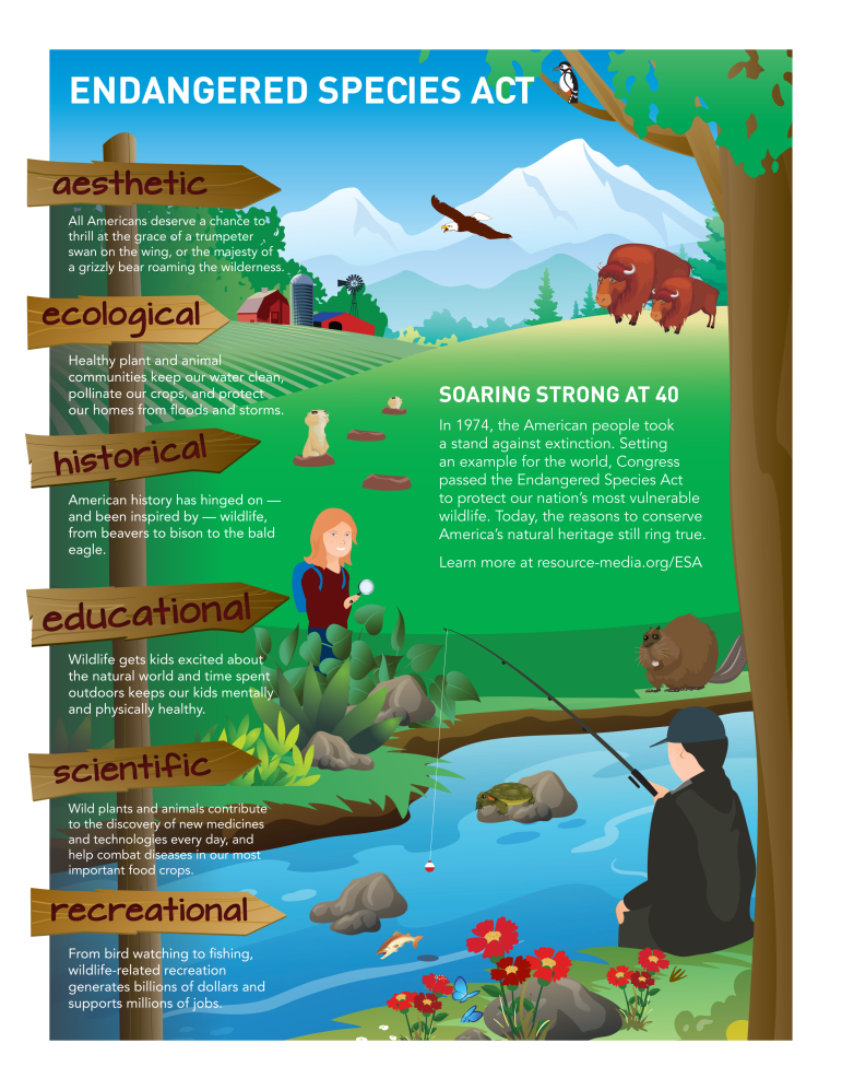 Endangered Species Act Infographic (Click to enlarge).