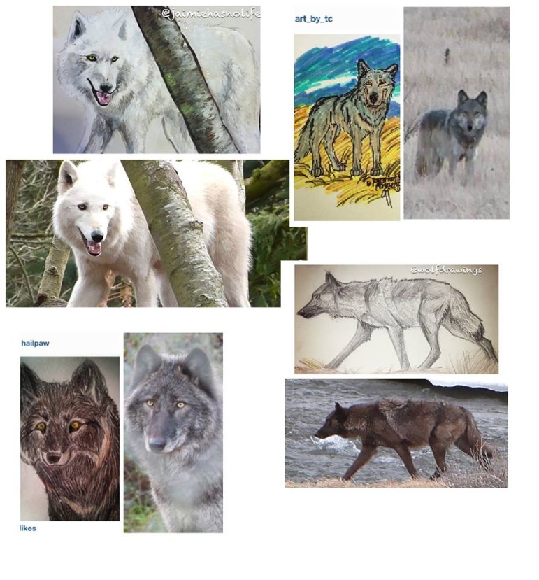 wolvesartcollage