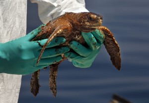 Credit NOAA