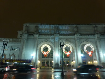 "Save the Wild Save the Wolf"