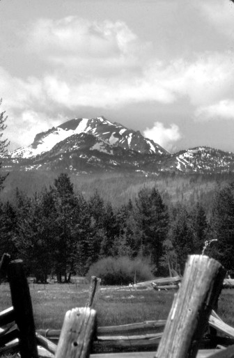 In January 2013, the wolf called OR7 was wandering in northern California near Lassen Peak, a volcano in the southern Cascades. JANE BRAXTON LITTLE