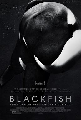 Theatrical release poster