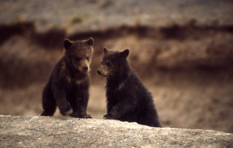 Photo credit NPS