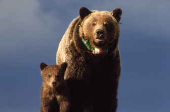 Photo credit NPS