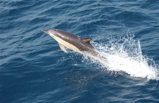 Photo credit NOAA