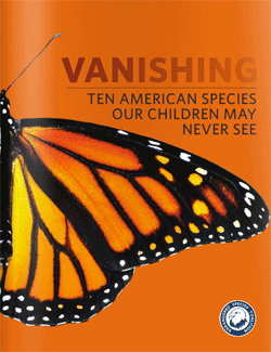 vanishingcover