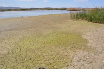 drying land