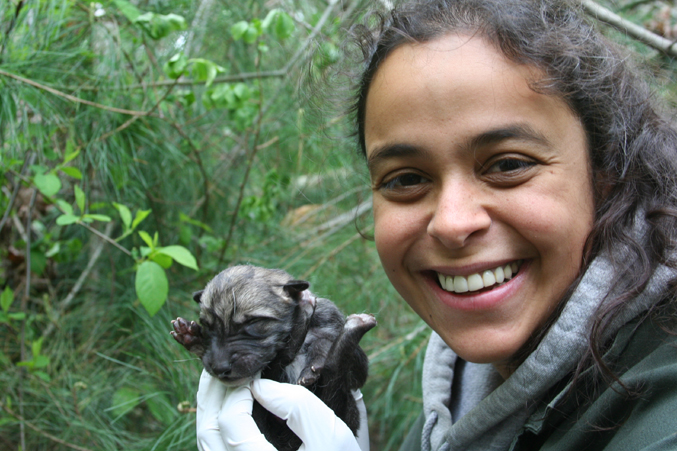 Rebecca Bose with Lobo Pup • “Being curator of these precious critically endangered lobos is a privilege, and holding this amazing new life in my hands is what it’s all about.” – Rebecca Bose, Wolf Conservation Center Wolf Conservation Center’s Curator, Rebecca Bose, bottle feeding one of F749’s pups from 2013.