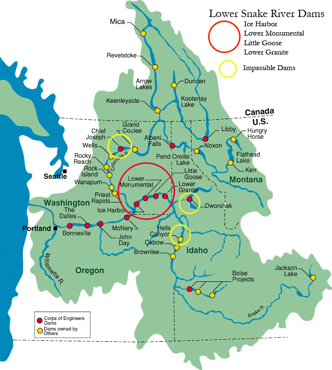 Major dams on the Columbia River, Snake River and main tributaries, highlighting the lower Snake River dams and dams that do not allow fish passage. Adapted from the U.S. Army Corps of Engineers.