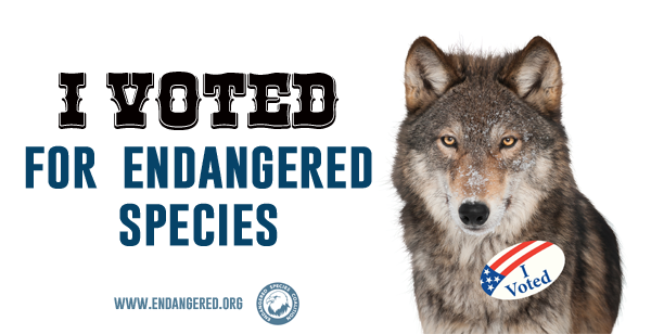 <a href="https://action.endangered.org/p/salsa/web/tellafriend/public/?tell_a_friend_KEY=12246">I am an endangered species voter!</a>