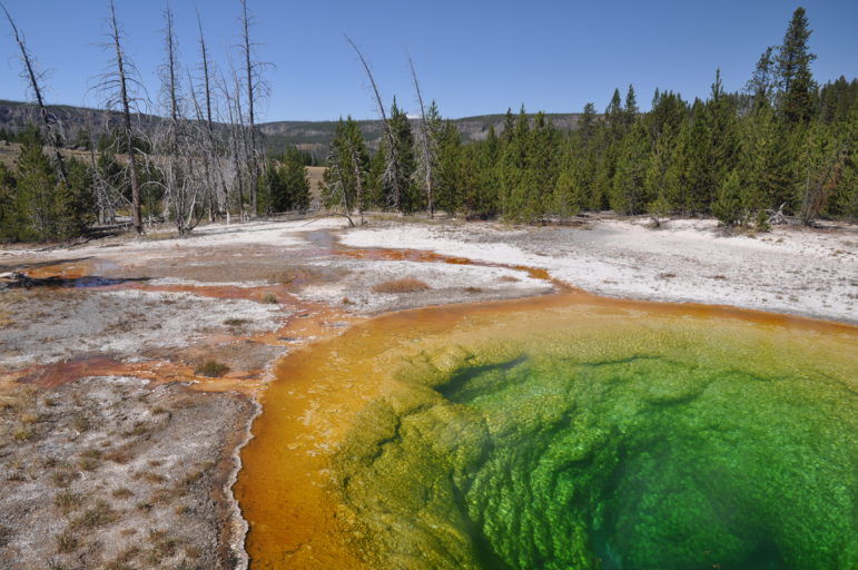 Yellowstone National Park, Wyoming, Montana, Idaho