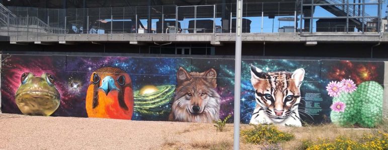 Border Wildlife Mural, El Paso, TX, by Roger Peet, Jesus “Cimi” Alvarado, Martin “Blast” Zubia from El Paso, and Ivan “Shack” Melendez from Ciudad Juarez.
